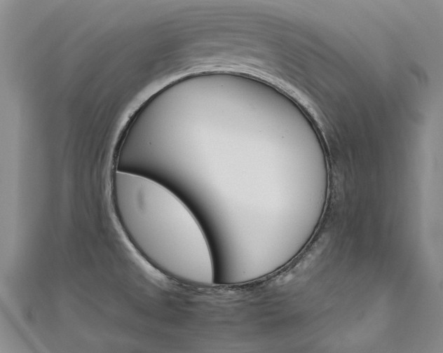 X0000111431525200907131030
