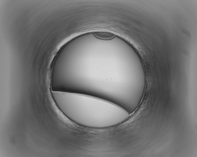 X0000111431526200907131030