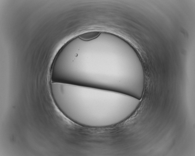X0000111431527200907131030