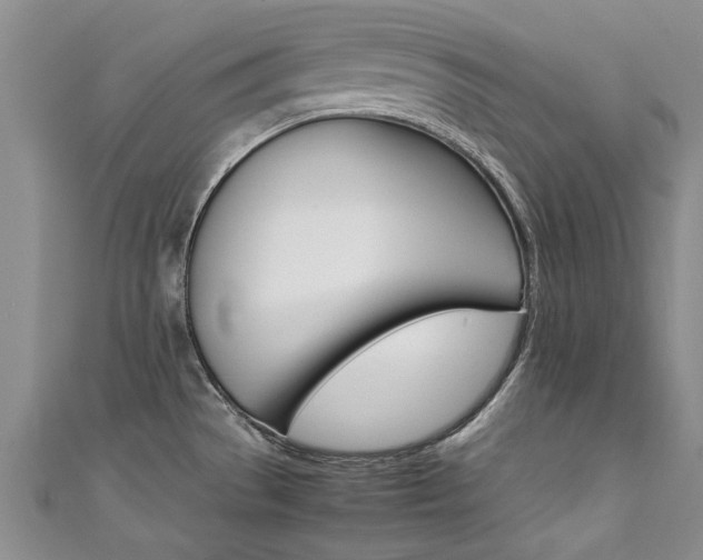 X0000111431529200907131030
