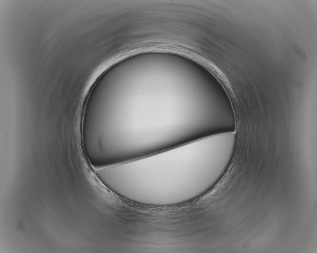 X0000111431530200907131030