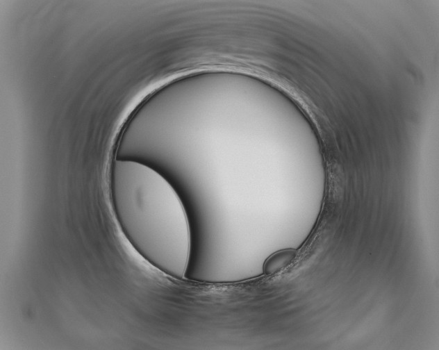 X0000111431531200907131030