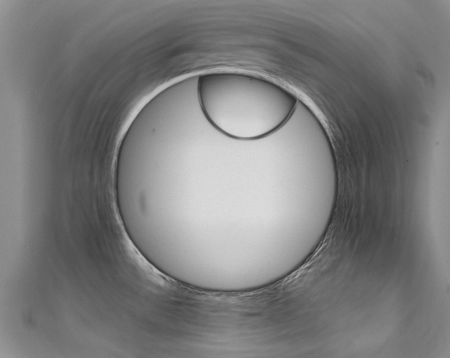 X0000111431532200907131030
