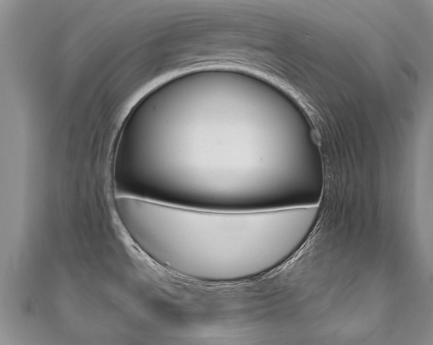 X0000111431534200907131030