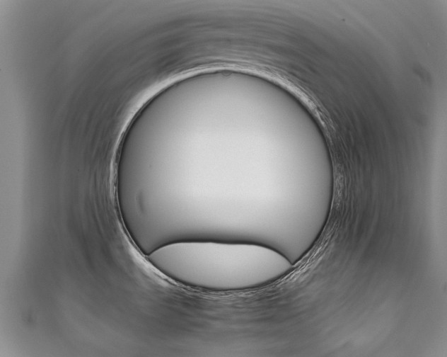 X0000111431535200907131030