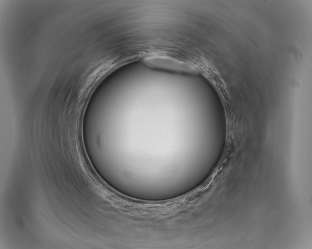 X0000111430001200907131233