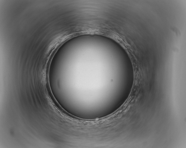 X0000111430002200907131233