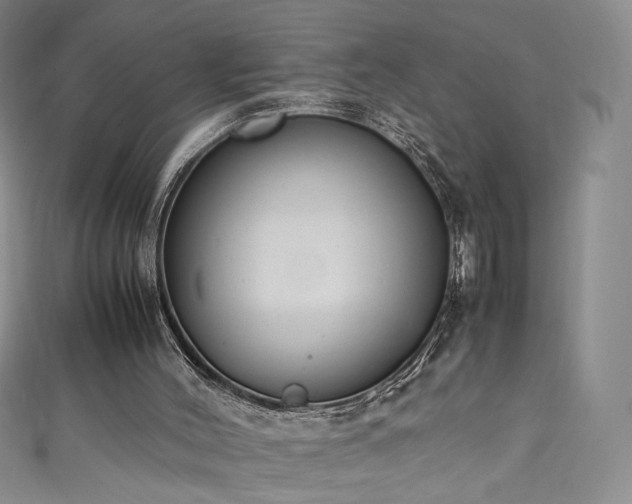 X0000111430004200907131233