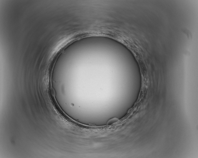 X0000111430005200907131233