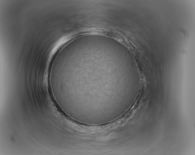 X0000111430006200907131233