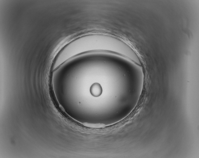 X0000111430007200907131233