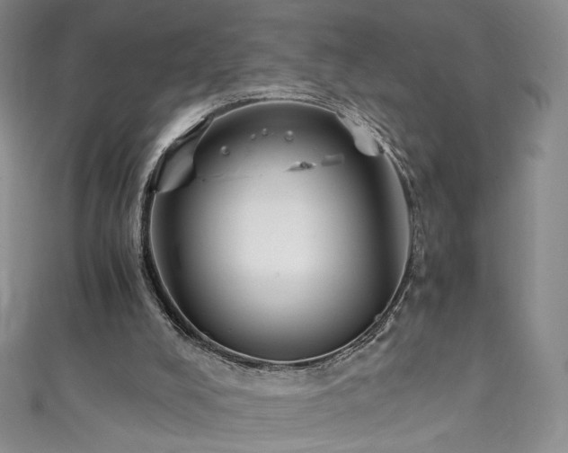 X0000111430008200907131233