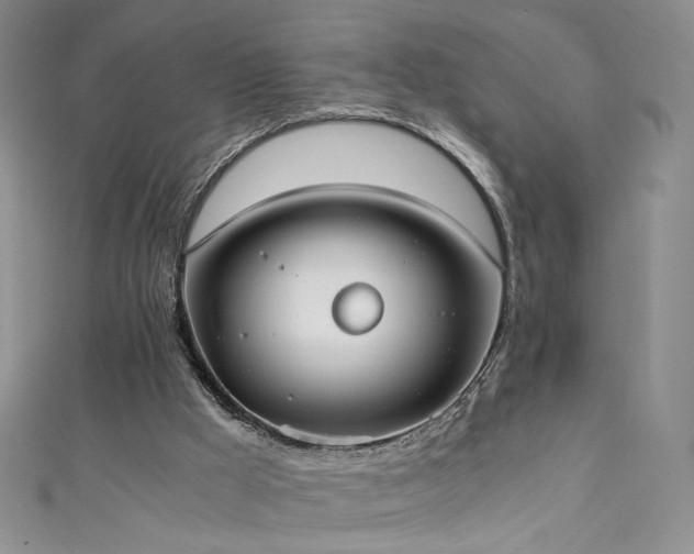 X0000111430009200907131233