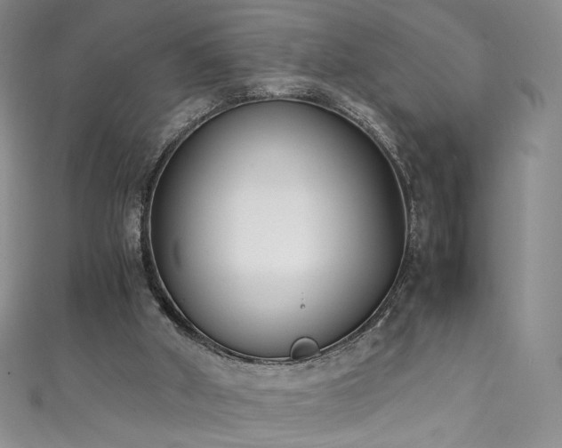 X0000111430010200907131233