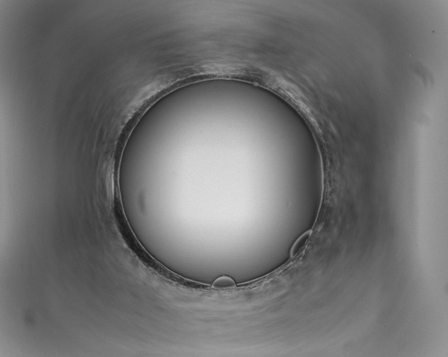 X0000111430011200907131233