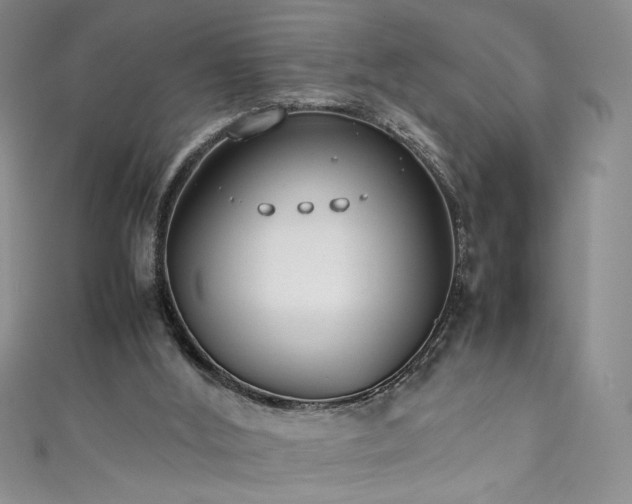 X0000111430012200907131233