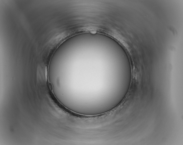 X0000111430013200907131233