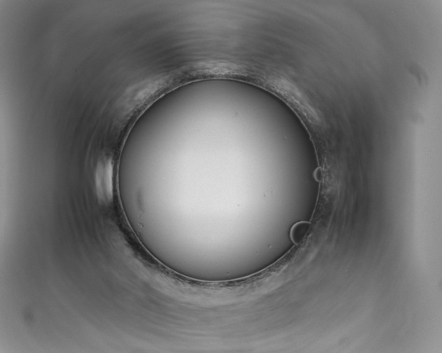 X0000111430014200907131233