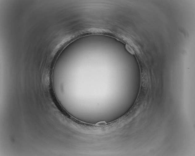 X0000111430015200907131233