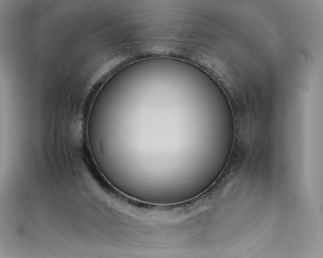 X0000111430016200907131232