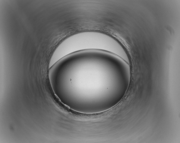 X0000111430017200907131232