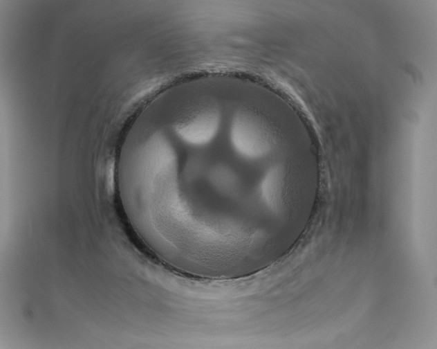 X0000111430019200907131232