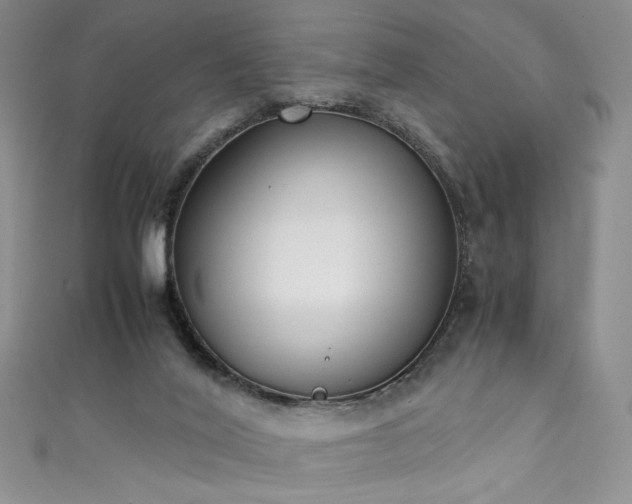 X0000111430020200907131232