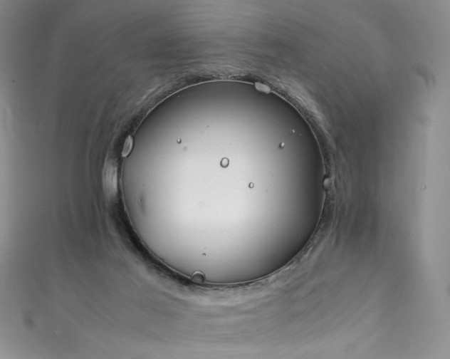 X0000111430021200907131232