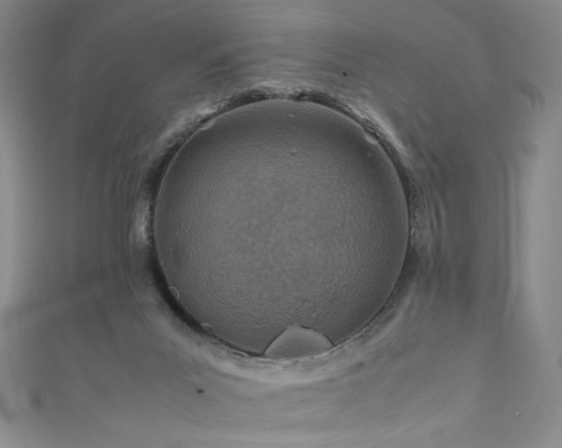 X0000111430023200907131232