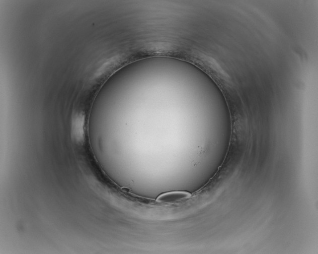 X0000111430024200907131232