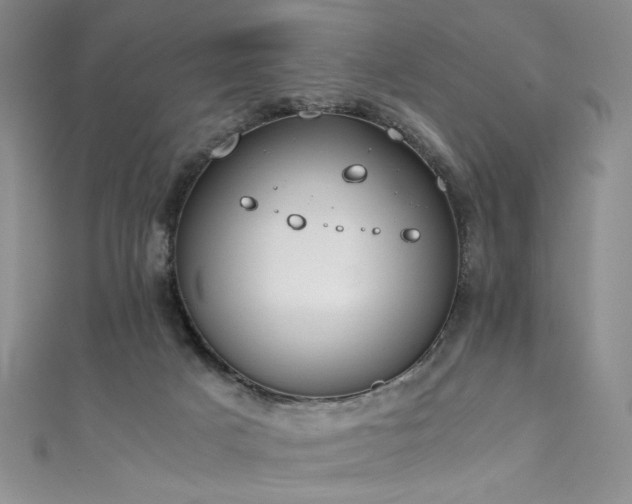 X0000111430025200907131232