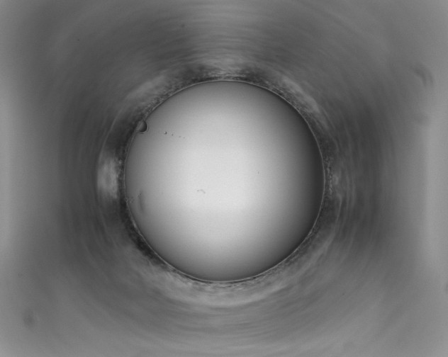 X0000111430026200907131232