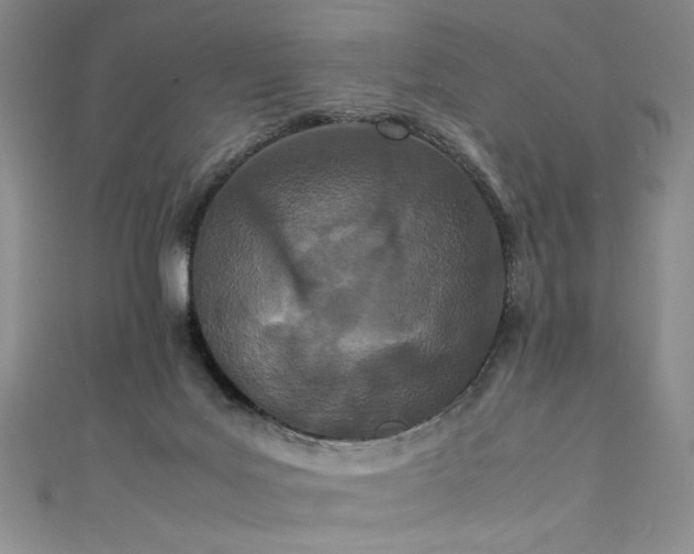 X0000111430027200907131232