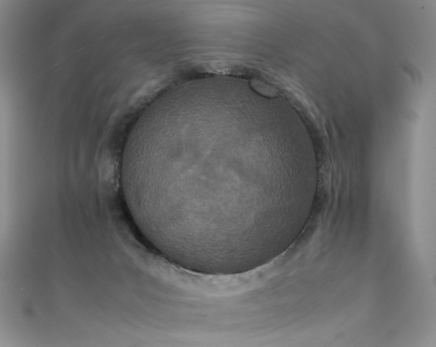 X0000111430031200907131232