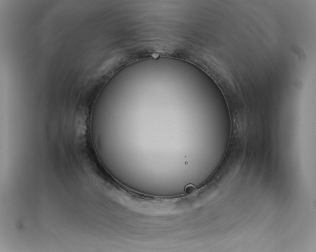 X0000111430032200907131232