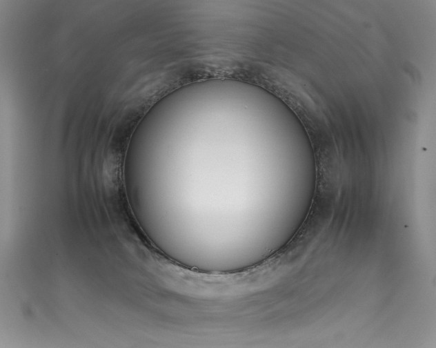 X0000111430034200907131232