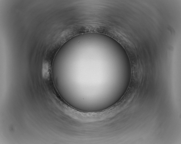 X0000111430038200907131232