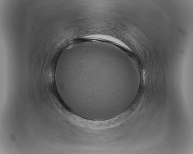 X0000111430039200907131232