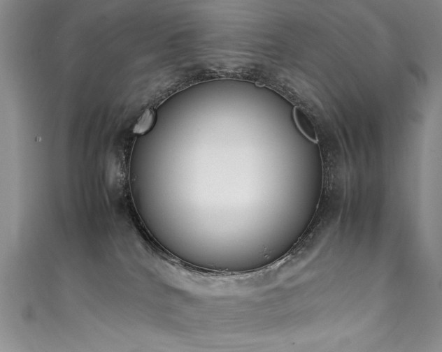 X0000111430040200907131232