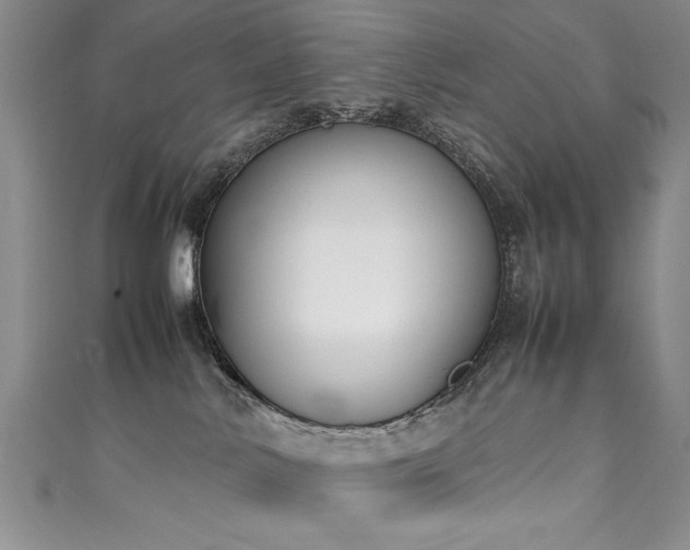 X0000111430042200907131232