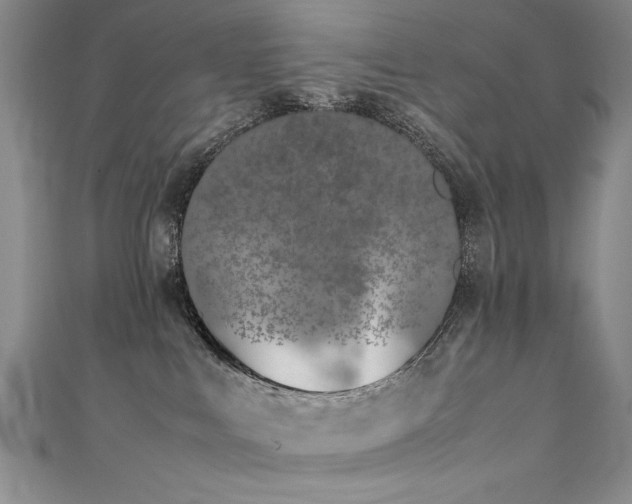 X0000111430043200907131232