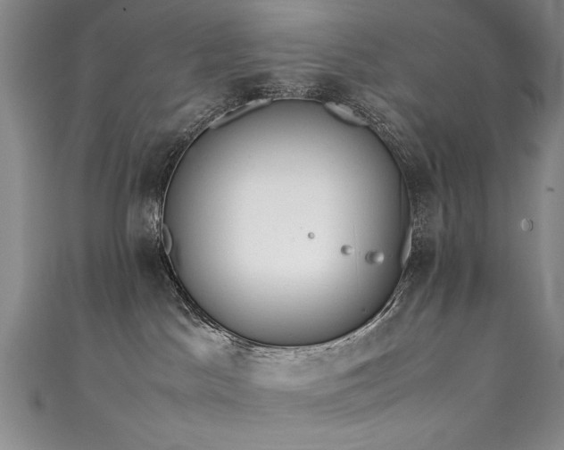 X0000111430045200907131232