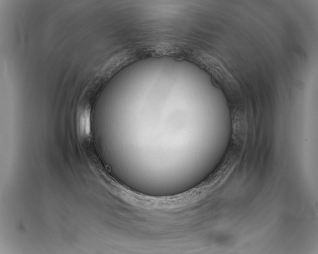 X0000111430046200907131232