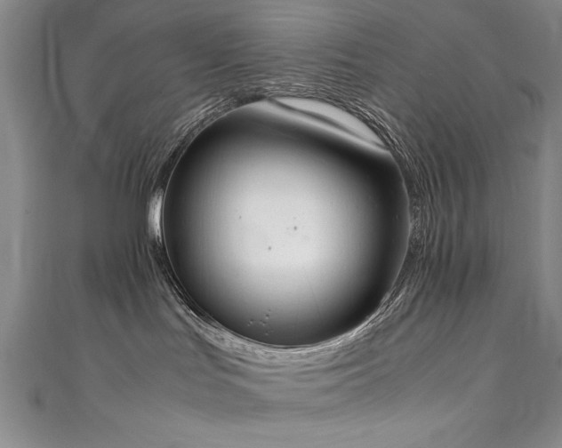 X0000111430047200907131232