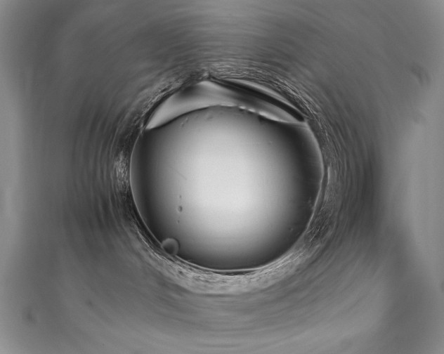 X0000111430048200907131232