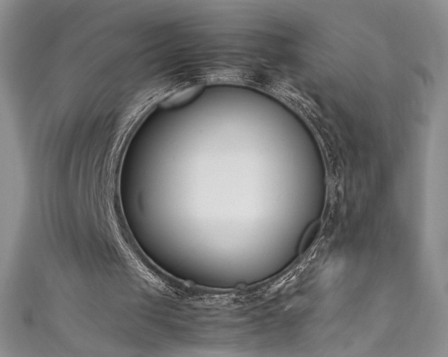 X0000111430049200907131231