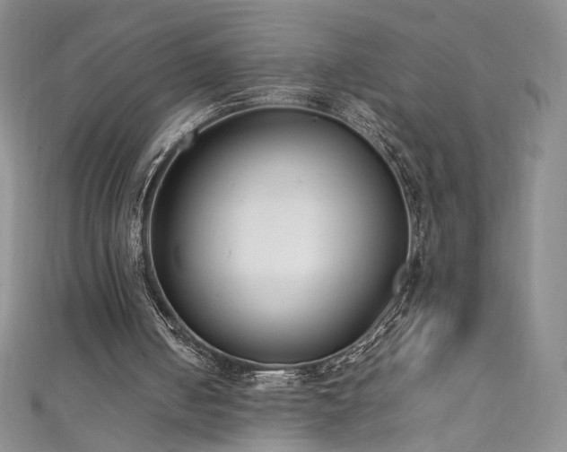 X0000111430050200907131231