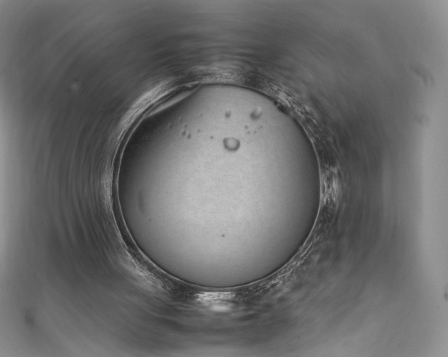 X0000111430051200907131231