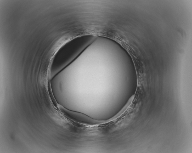 X0000111430052200907131232