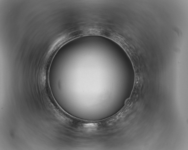 X0000111430053200907131232